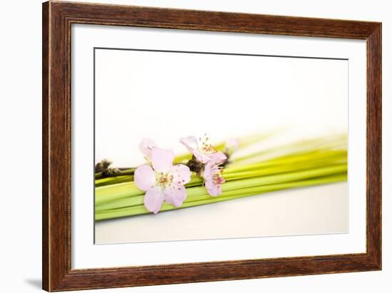 Peach Blossoms and Blades of Grass-Andrea Haase-Framed Photographic Print