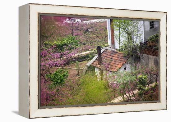 Peach Blossoms, Chinese Roofs, Village, Chengdu, Sichuan, China-William Perry-Framed Premier Image Canvas