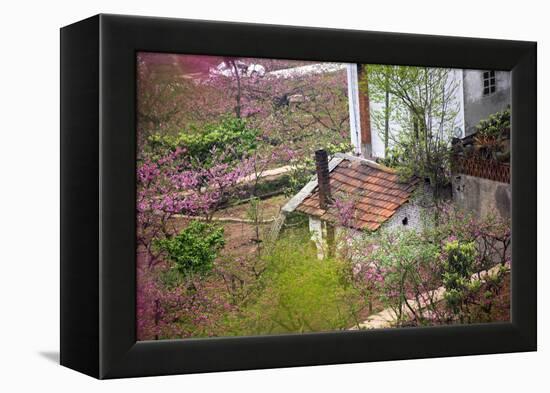 Peach Blossoms, Chinese Roofs, Village, Chengdu, Sichuan, China-William Perry-Framed Premier Image Canvas