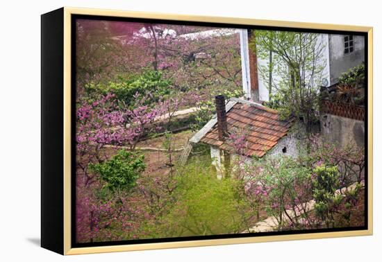 Peach Blossoms, Chinese Roofs, Village, Chengdu, Sichuan, China-William Perry-Framed Premier Image Canvas