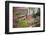 Peach Blossoms, Chinese Roofs, Village, Chengdu, Sichuan, China-William Perry-Framed Photographic Print