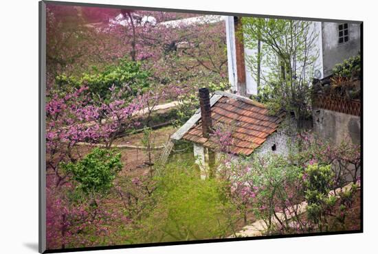 Peach Blossoms, Chinese Roofs, Village, Chengdu, Sichuan, China-William Perry-Mounted Photographic Print