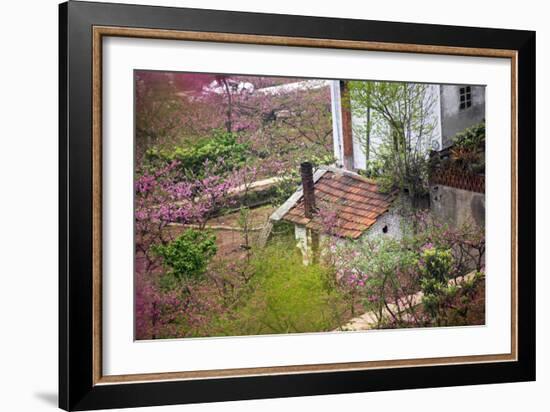 Peach Blossoms, Chinese Roofs, Village, Chengdu, Sichuan, China-William Perry-Framed Photographic Print