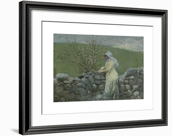 Peach Blossoms-Winslow Homer-Framed Premium Giclee Print