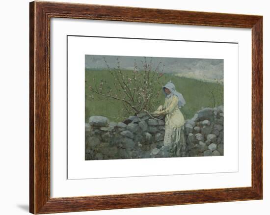 Peach Blossoms-Winslow Homer-Framed Premium Giclee Print