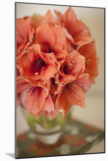 Peach Bouquet-Karyn Millet-Mounted Photographic Print