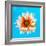 Peach Daisy-Gail Peck-Framed Photographic Print