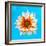 Peach Daisy-Gail Peck-Framed Photographic Print