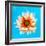 Peach Daisy-Gail Peck-Framed Photographic Print