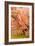 Peach Dalhia IV-Maureen Love-Framed Photographic Print