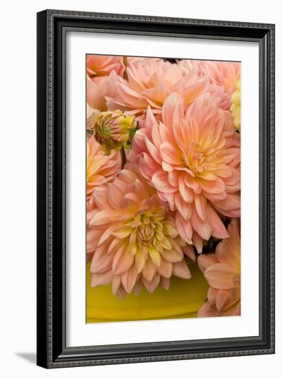 Peach Dalhia IV-Maureen Love-Framed Photographic Print