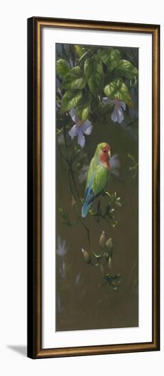 Peach Faced Lovebird 2-Michael Jackson-Framed Giclee Print