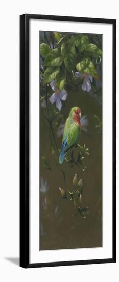 Peach Faced Lovebird 2-Michael Jackson-Framed Giclee Print