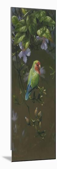 Peach Faced Lovebird 2-Michael Jackson-Mounted Giclee Print