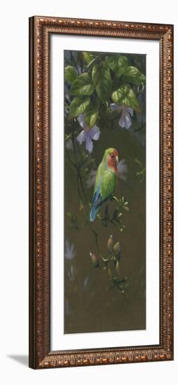 Peach Faced Lovebird 2-Michael Jackson-Framed Giclee Print