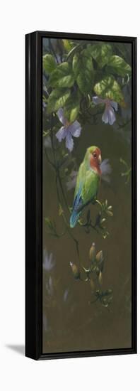 Peach Faced Lovebird 2-Michael Jackson-Framed Premier Image Canvas