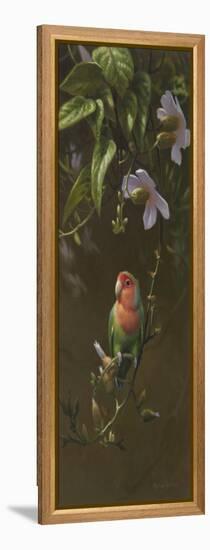 Peach Faced Lovebird-Michael Jackson-Framed Premier Image Canvas