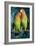 Peach-Faced Lovebirds Hybrid-Andrey Zvoznikov-Framed Photographic Print