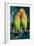 Peach-Faced Lovebirds Hybrid-Andrey Zvoznikov-Framed Photographic Print