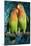 Peach-Faced Lovebirds Hybrid-Andrey Zvoznikov-Mounted Photographic Print