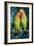 Peach-Faced Lovebirds Hybrid-Andrey Zvoznikov-Framed Photographic Print