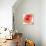 Peach Flower I-Sandra Jacobs-Giclee Print displayed on a wall