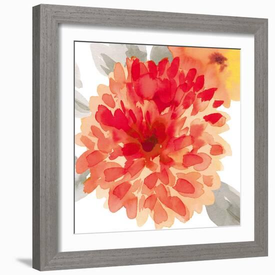 Peach Flower I-Sandra Jacobs-Framed Giclee Print