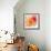 Peach Flower II-Sandra Jacobs-Framed Giclee Print displayed on a wall