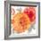 Peach Flower II-Sandra Jacobs-Framed Giclee Print