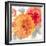 Peach Flower II-Sandra Jacobs-Framed Giclee Print