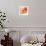 Peach Flower II-Sandra Jacobs-Framed Giclee Print displayed on a wall