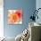 Peach Flower II-Sandra Jacobs-Giclee Print displayed on a wall