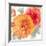 Peach Flower II-Sandra Jacobs-Framed Giclee Print