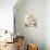 Peach Luster Cyclamen 1-Albert Koetsier-Photo displayed on a wall