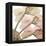 Peach Luster Cyclamen 1-Albert Koetsier-Framed Stretched Canvas