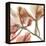 Peach Luster Cyclamen 2-Albert Koetsier-Framed Stretched Canvas