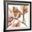 Peach Luster Cyclamen 2-Albert Koetsier-Framed Photo