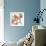 Peach Luster Cyclamen 2-Albert Koetsier-Framed Photographic Print displayed on a wall