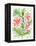 Peach Orchid Bunch-Cat Coquillette-Framed Premier Image Canvas