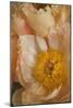 Peach Peonies I-Karyn Millet-Mounted Photographic Print