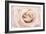 Peach Pink Rose-Cora Niele-Framed Photographic Print