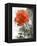 Peach Rose-Nicole Katano-Framed Stretched Canvas