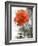 Peach Rose-Nicole Katano-Framed Photo