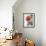 Peach Rose-Nicole Katano-Framed Photo displayed on a wall