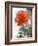 Peach Rose-Nicole Katano-Framed Photo