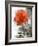 Peach Rose-Nicole Katano-Framed Photo