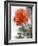 Peach Rose-Nicole Katano-Framed Photo