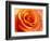 Peach Rose-David Papazian-Framed Photographic Print