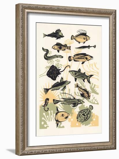 Peach Seaweed Fish, 2015-Eliza Southwood-Framed Giclee Print