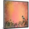 Peach Sky-Claire Westwood-Mounted Art Print